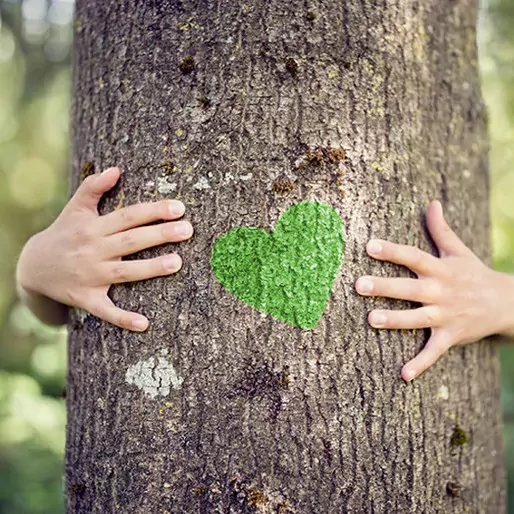 Un cuore verde che rispetta la Natura